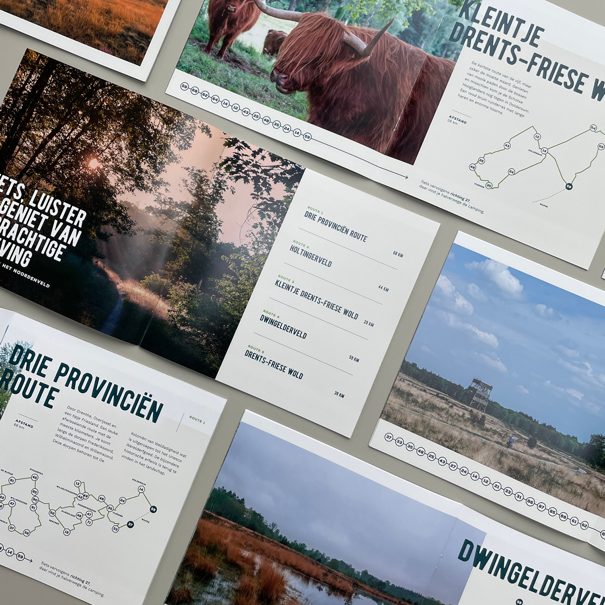 De 5 mooiste fietsroutes rondom Wapse